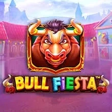 Bull Fiesta